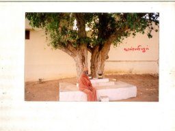 சுவாமி - தமிழக சுற்றுப்பயணம் 
